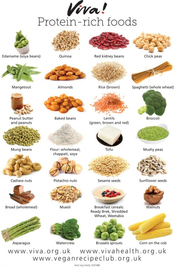 Protein For Vegetarian
 VEGAN PROTEIN RICH FOODS