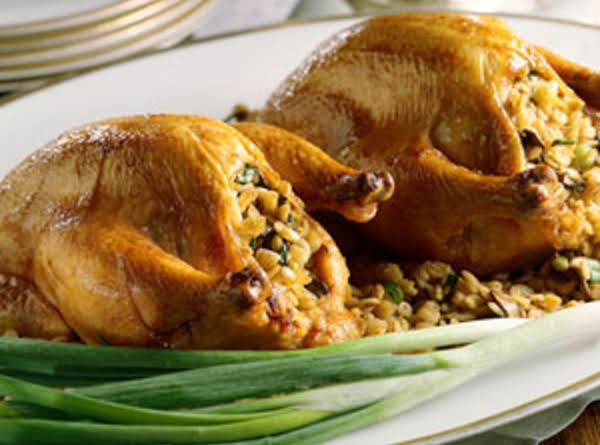 Recipes For Cornish Game Hens
 Cornish Game Hens With Stuffing Recipe