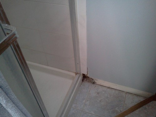 Repairing Bathroom Tiles
 master bath repair shower tile loose and drywall damaged