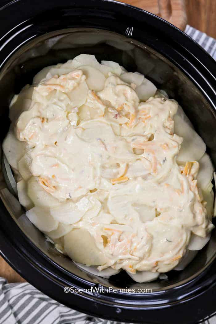 Scalloped Potatoes In Slow Cooker
 Slow Cooker Cheesy Scalloped Potatoes Spend With Pennies