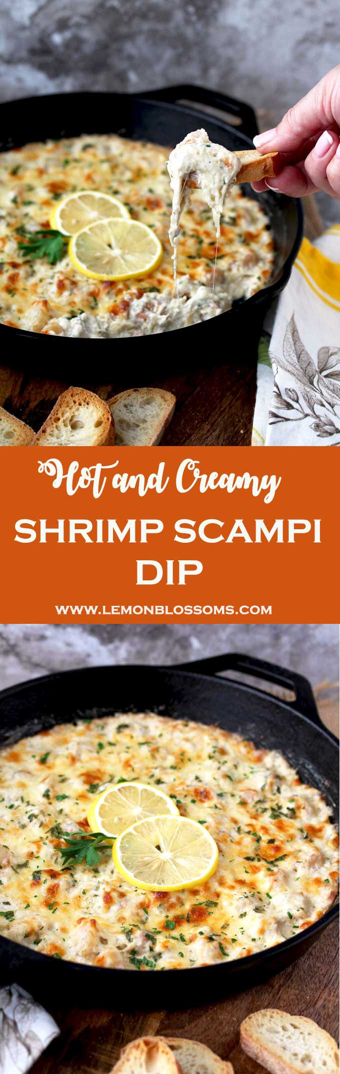 Shrimp Scampi Dip
 Hot and Creamy Shrimp Scampi Dip