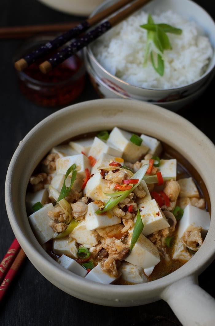 Silken Tofu Chinese Recipes
 Easy Mapo Tofu Lisa s Lemony Kitchen