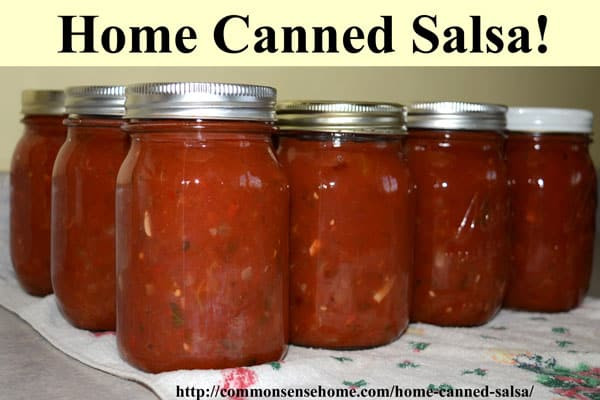Spicy Salsa Recipe For Canning
 The 23 Best Ideas for Hot Salsa Recipe for Canning Best