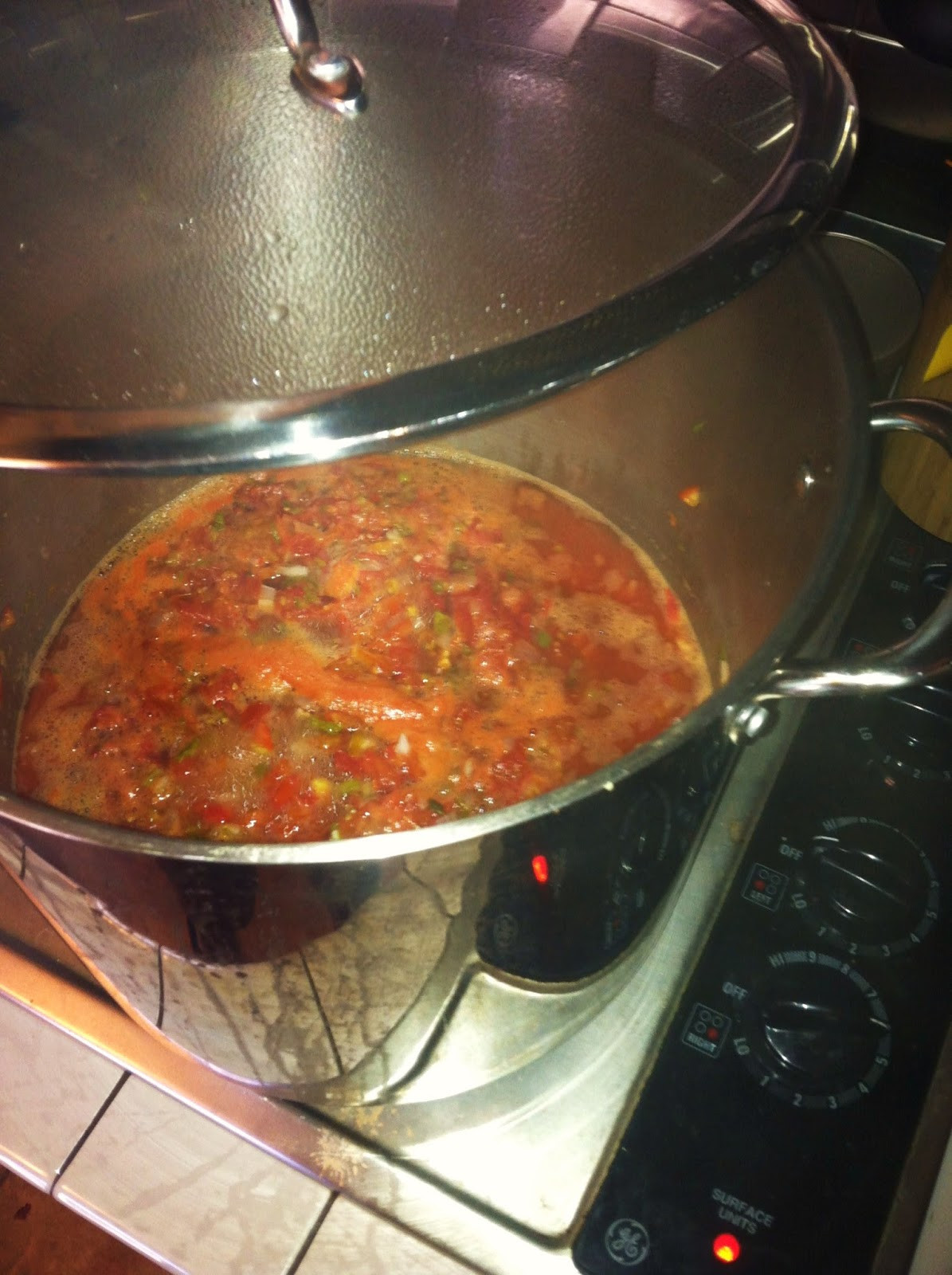 Spicy Salsa Recipe For Canning
 Chelsea Welsea mits New SPICY Salsa Recipe For Canning