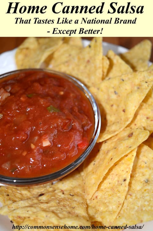 Spicy Salsa Recipe For Canning
 23 the Best Ideas for Spicy Salsa Recipe for Canning
