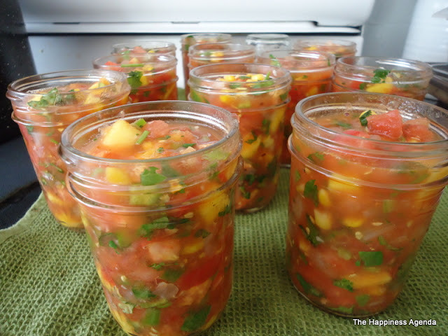 Spicy Salsa Recipe For Canning
 23 the Best Ideas for Spicy Salsa Recipe for Canning