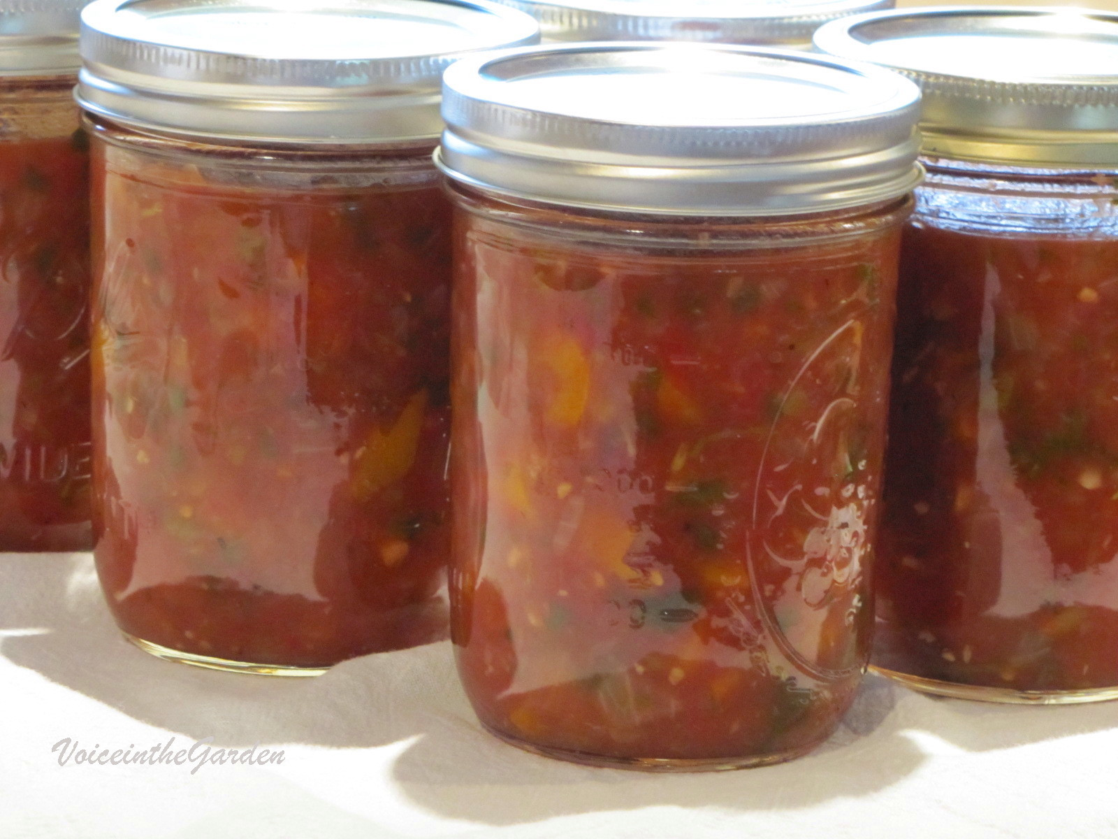 Spicy Salsa Recipe For Canning
 How to Do Canning at Home Salsa Recipes from Spicy to