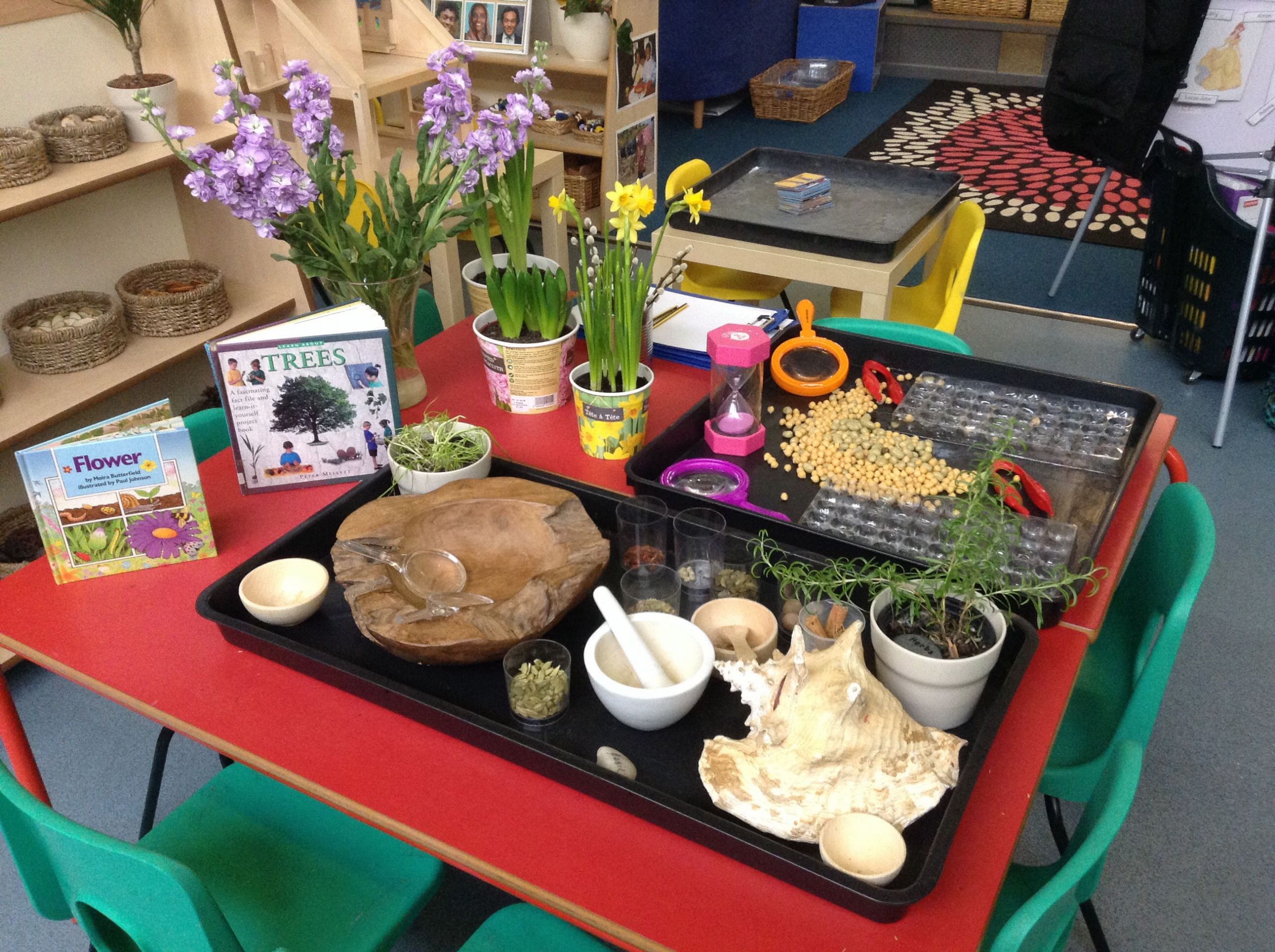 Spring Ideas Eyfs
 Herb investigation bean sorting and natural plants