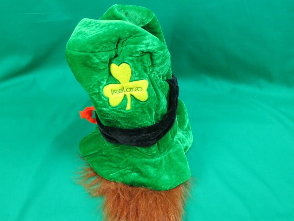 St. Patrick's Day Activities
 FUNNY HAPPY ST PATRICK S DAY GREEN LEPRECHAUN HAT AND