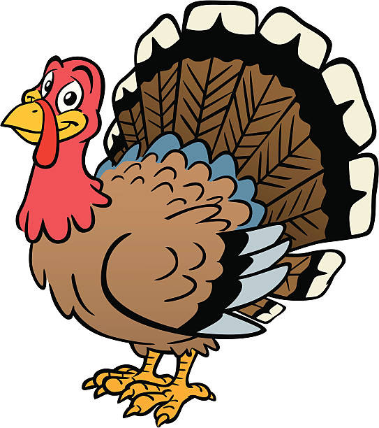 Thanksgiving Turkey Clip Art
 Best Wild Turkey Illustrations Royalty Free Vector