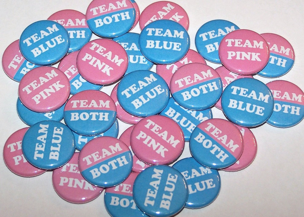 Twin Gender Reveal Party Ideas
 Twins Team Pink Team Blue Team Both Gender Reveal Party Set of