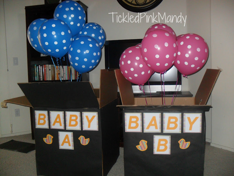 Twin Gender Reveal Party Ideas
 The Twins Gender Reveal