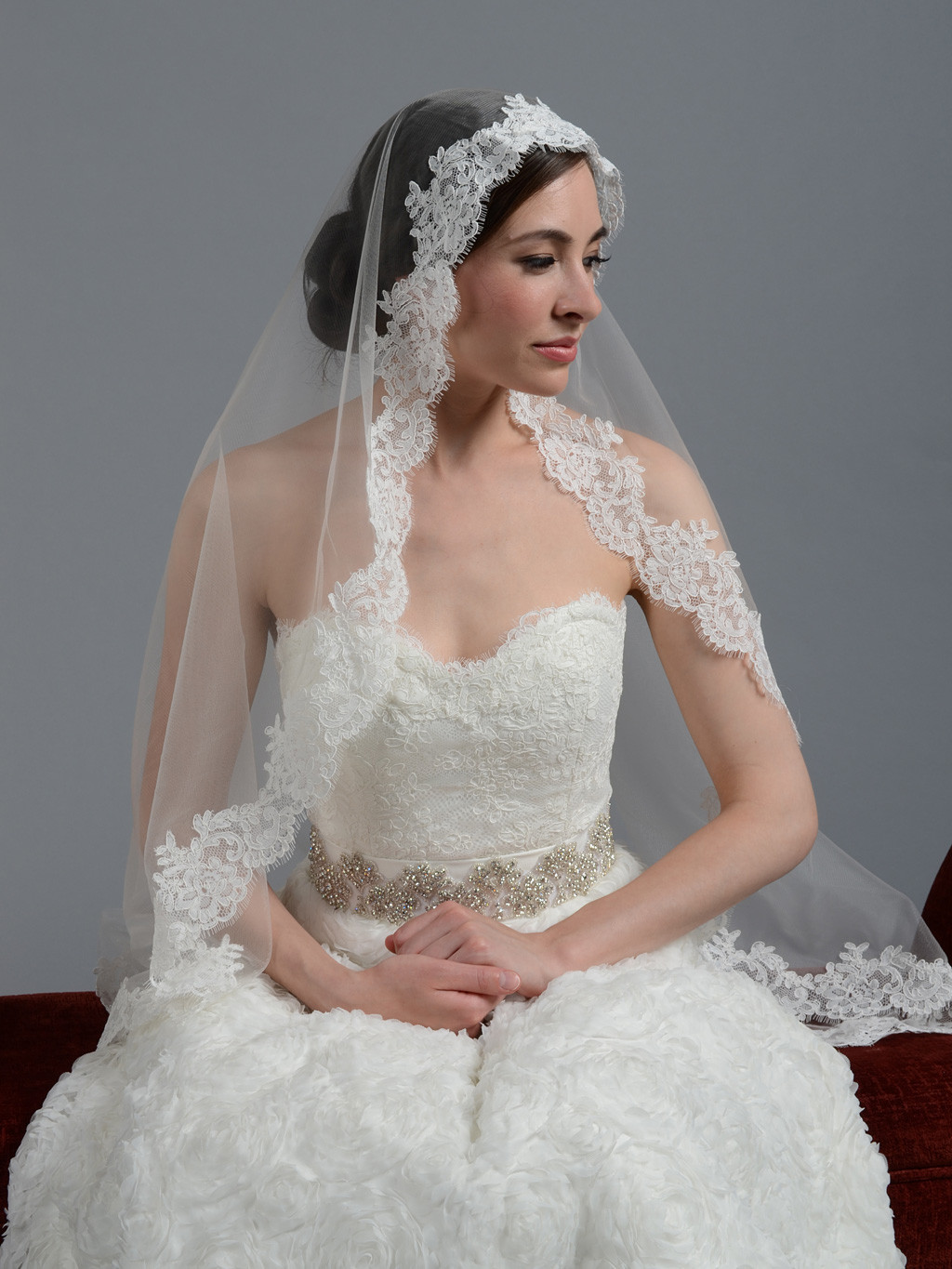 Wedding Veils With Lace
 Ivory wedding veil alencon lace V044