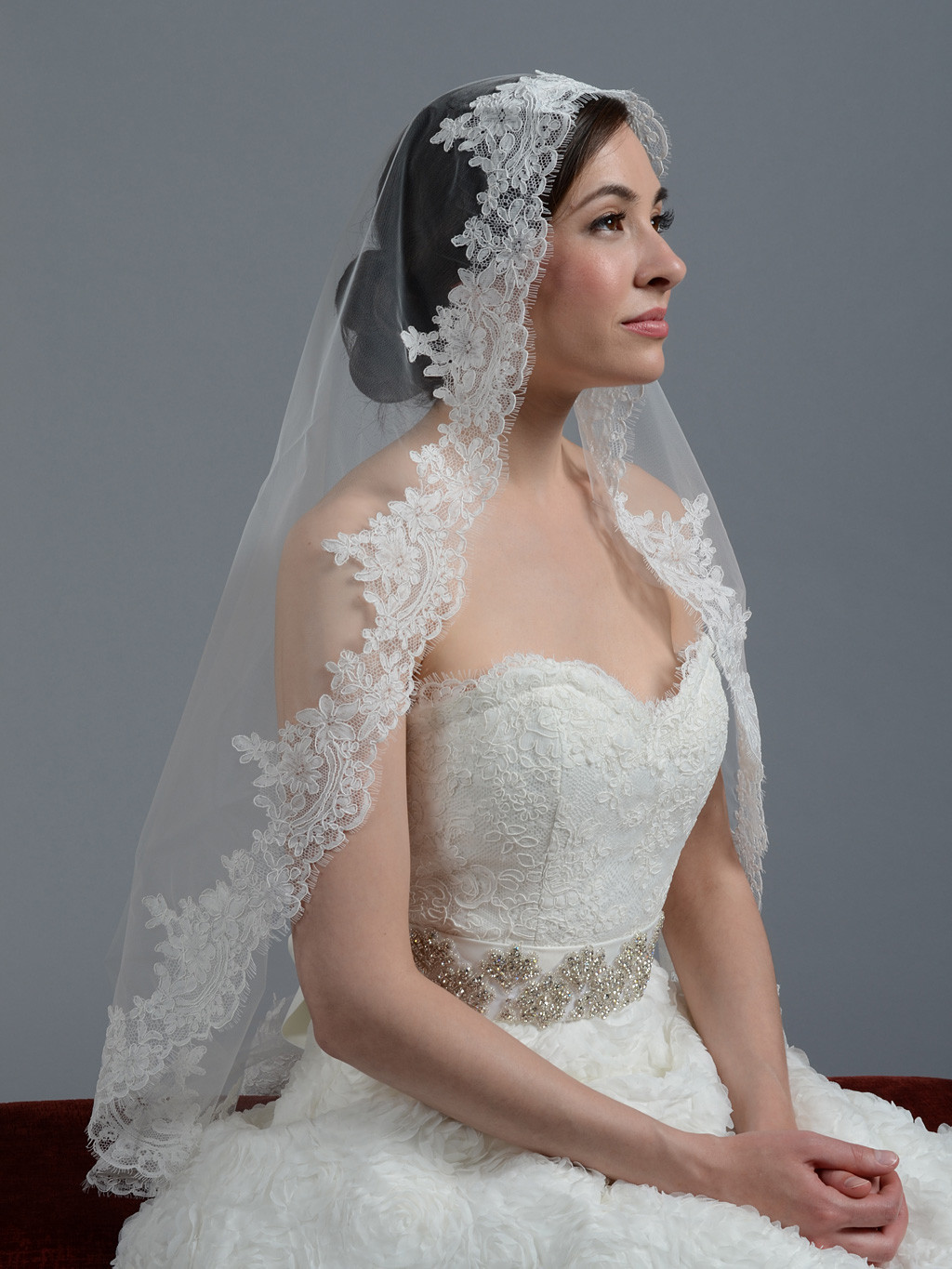 Wedding Veils With Lace
 Ivory wedding veil alencon lace V045
