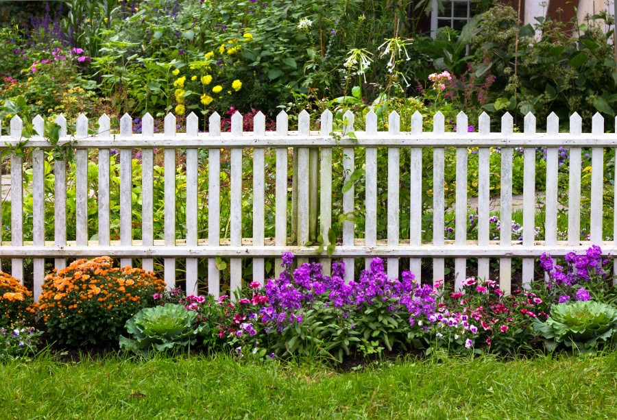 White Backyard Fence
 White picket fence with pretty flowers in a yard photo