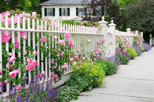 White Backyard Fence
 Fences How to increase home value and beauty with these