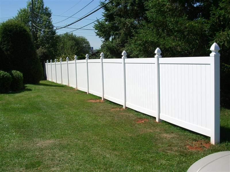 White Backyard Fence
 It s been said that good fences make good neighbors