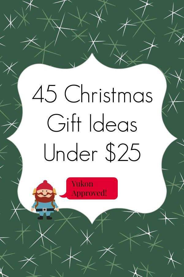 $25 Christmas Gift Exchange Ideas
 60 Christmas Gift Ideas Under $25
