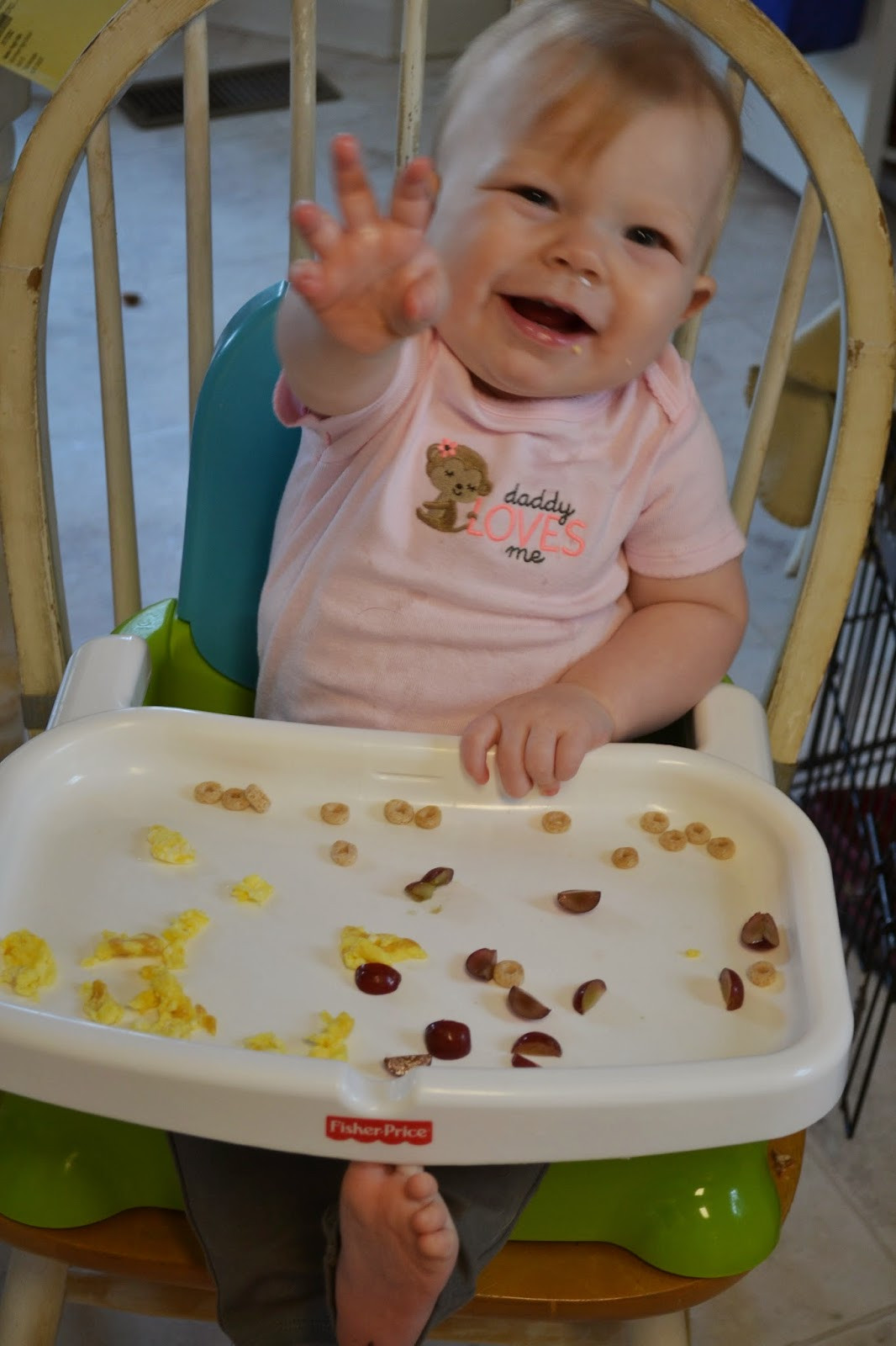 3 Months Baby Food Recipe
 Finger Foods for an 11 Month Old Meal Ideas