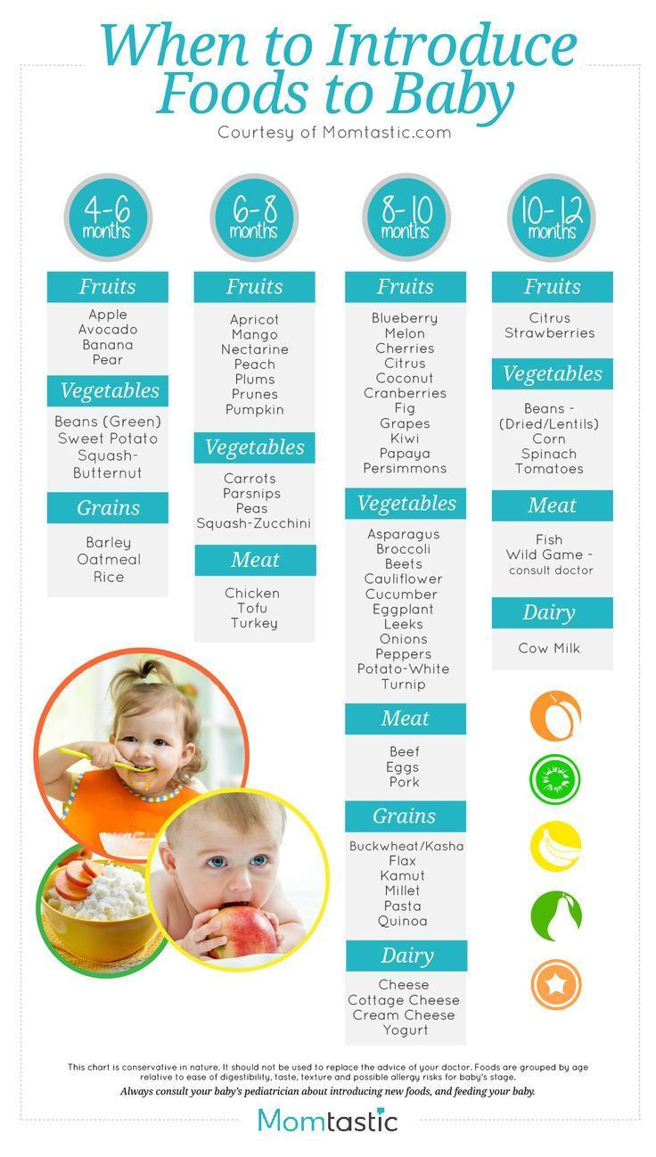 3 Months Baby Food Recipe
 Introducing Solids A Month by Month Schedule [Free