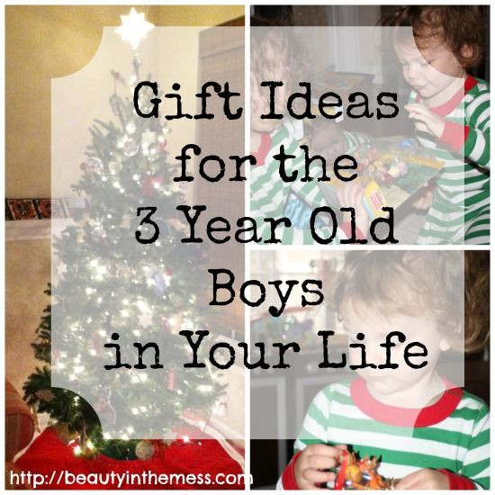 3 Year Old Boy Birthday Gift Ideas
 Gift Ideas for a 3 Year Old Boy