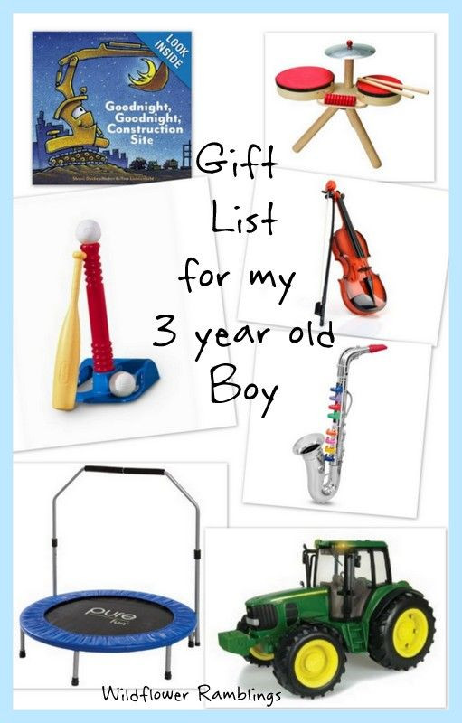 3 Year Old Boy Birthday Gift Ideas
 t ideas for my 3 year old boy