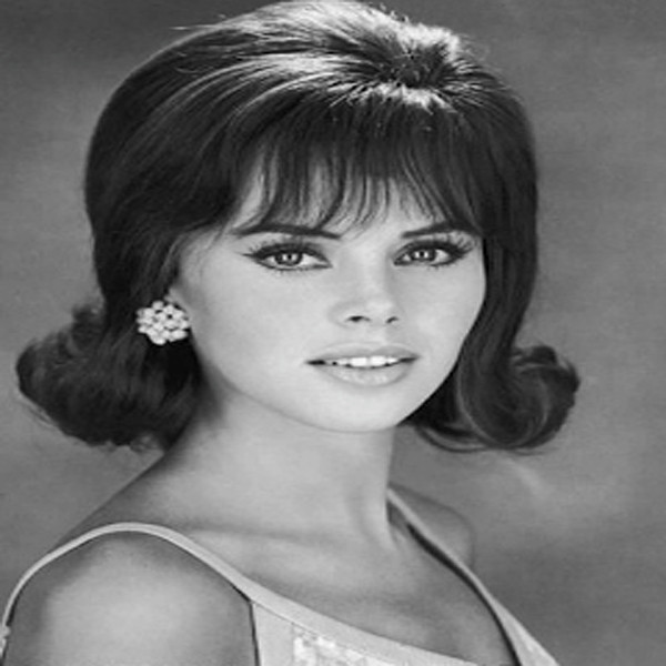 60S Hairstyles Female
 Coolest 1960s Hairstyles for Women