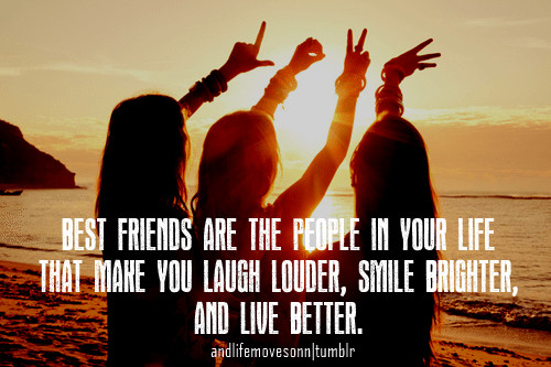 A Quote About Friendship
 Friendship Quotes QuotesGram