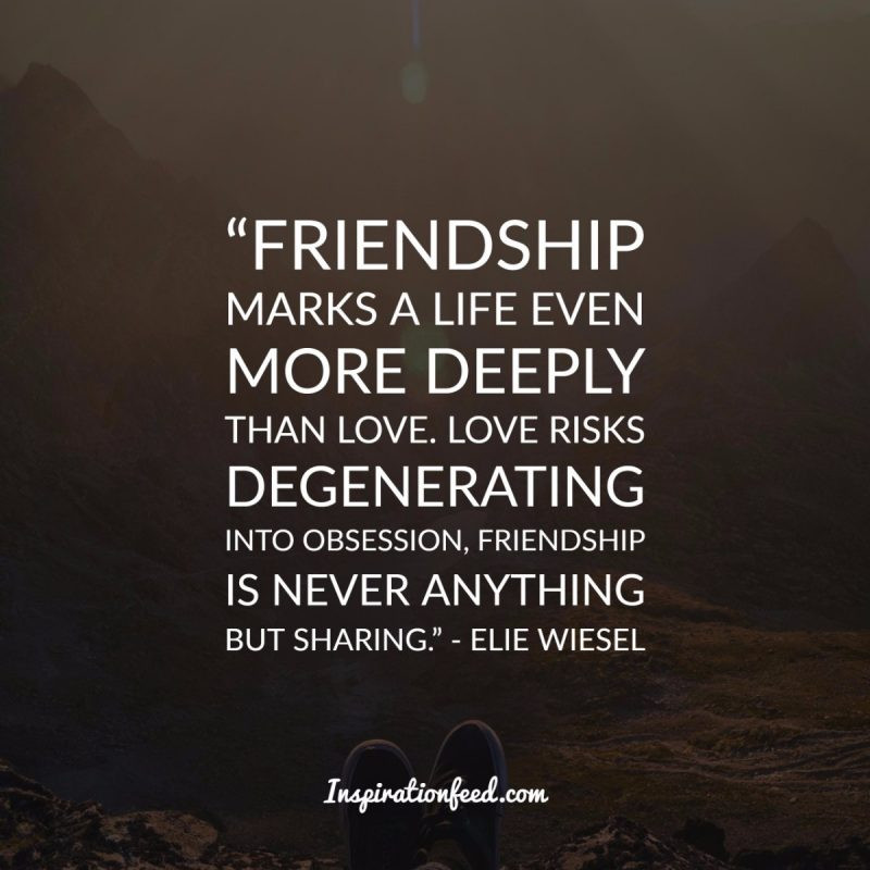 A Quote About Friendship
 40 Truthful Quotes about Friendship