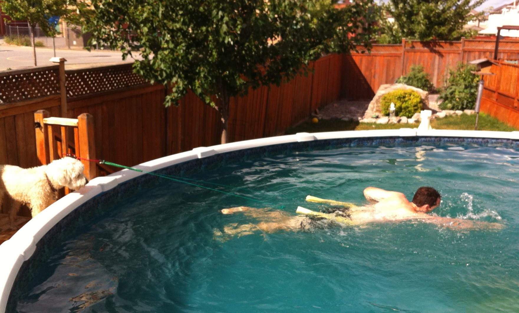 Above Ground Exercise Pool
 LPT Use a pool noodle string and a few bungee cords to