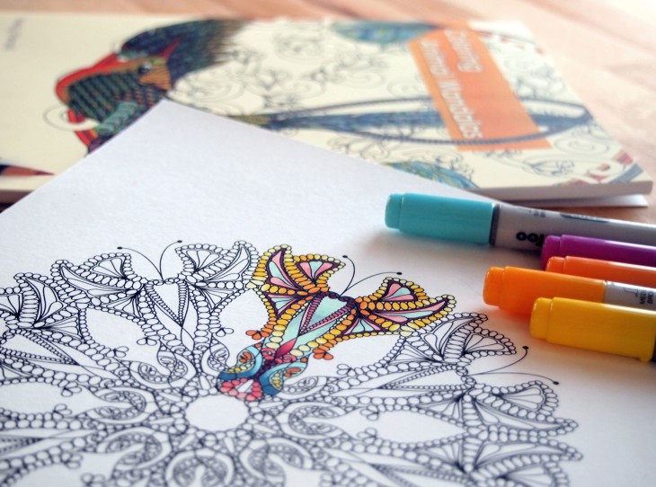 Adult Coloring Book Markers
 Adult Coloring Books Are The New Stress Busters [Video]