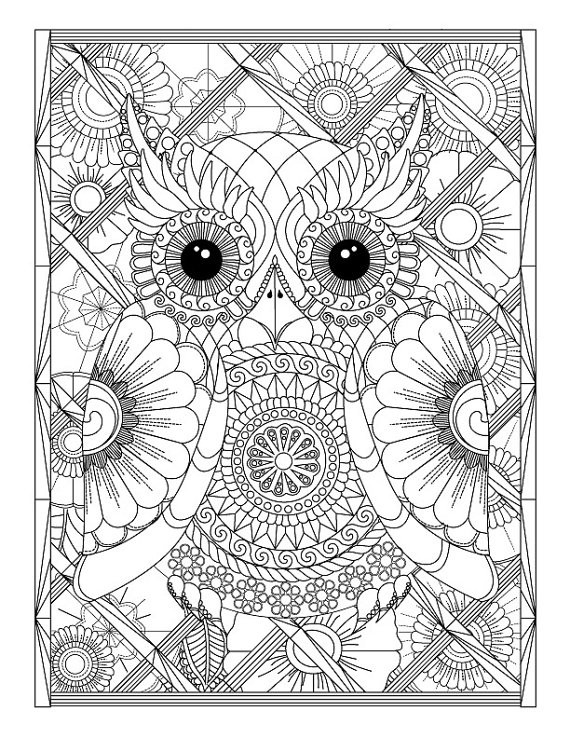 Advanced Coloring Books For Adults
 Owl and Flowers Advanced Coloring Page for Adults Printable