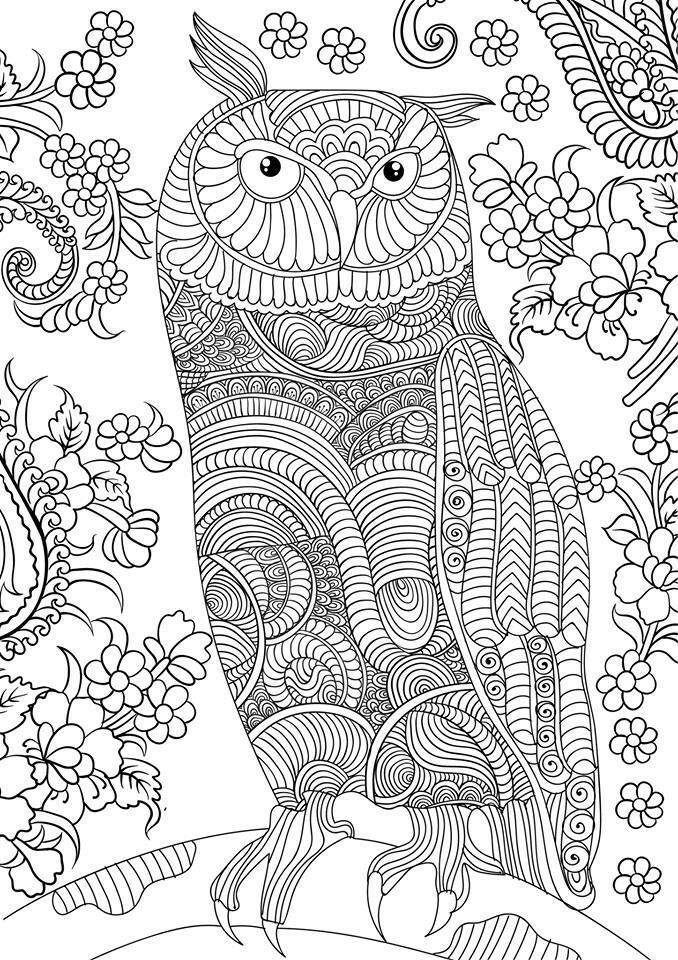 Advanced Coloring Books For Adults
 OWL Coloring Pages for Adults Free Detailed Owl Coloring
