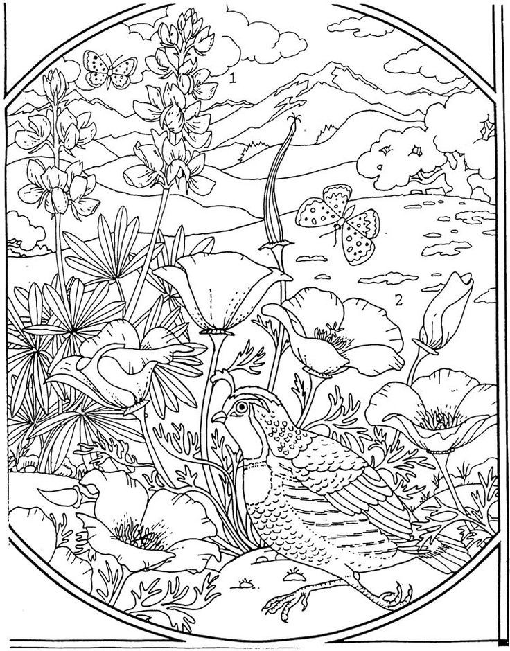 Advanced Coloring Books For Adults
 17 Best images about adult coloring pages on Pinterest