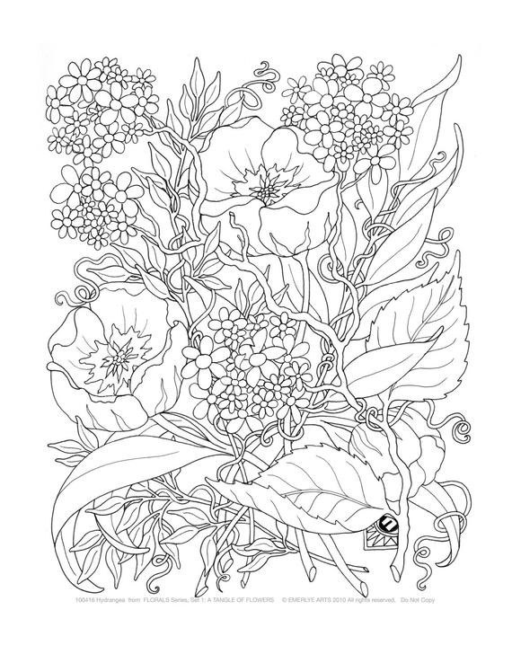 Advanced Coloring Books For Adults
 Adult Coloring A Tangle of Flowers Set of 8 by emerlyearts