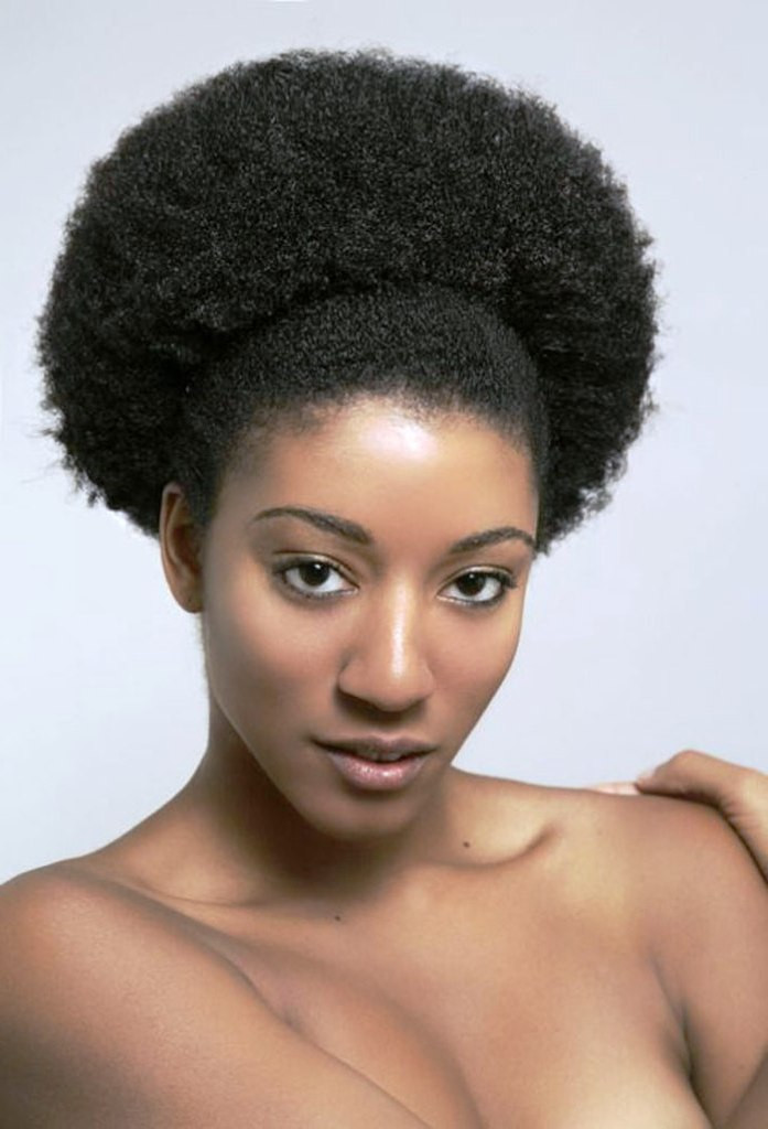 African American Female Haircuts
 20 Afro Hairstyles For African American Woman’s Feed