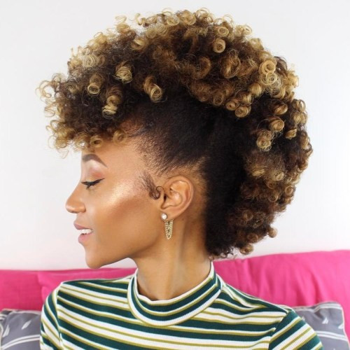 African American Female Haircuts
 30 Best Natural Hairstyles for African American Women