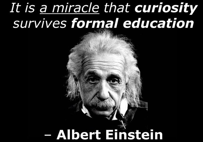Albert Einstein Educational Quotes
 31 Amazing Albert Einstein Quotes with Funny
