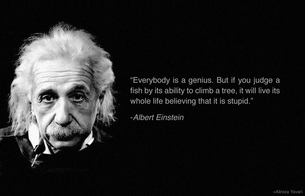 Albert Einstein Educational Quotes
 Quote Albert Einstein