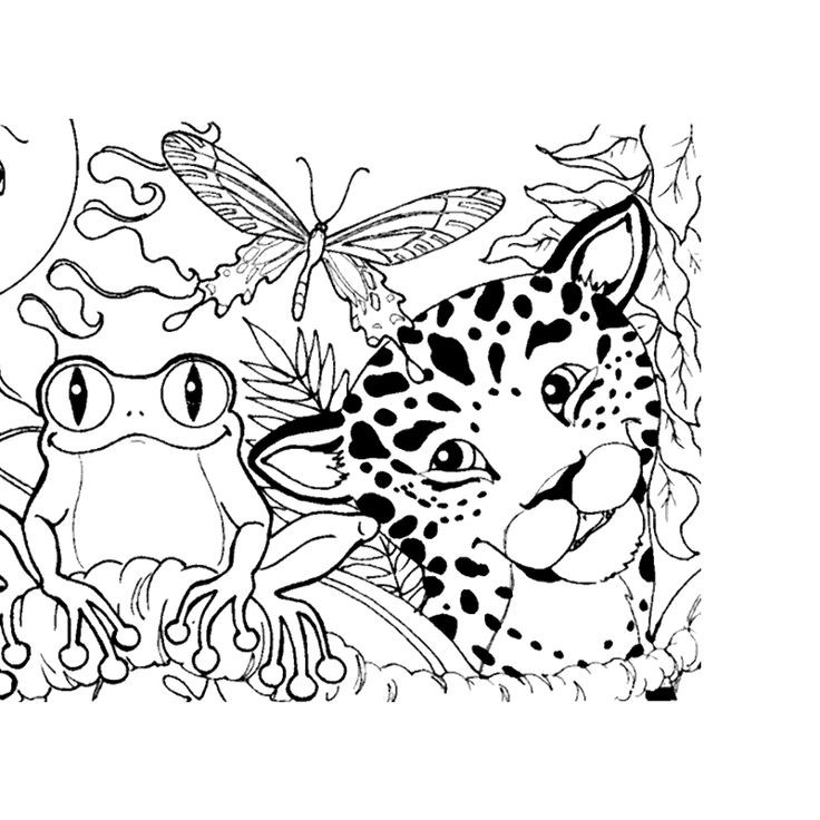 Amazon Coloring Books For Kids
 218 best images about Coloring Animals on Pinterest