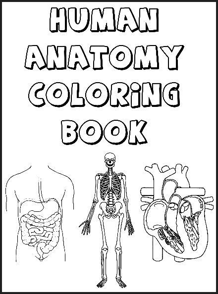Anatomy Coloring Book For Kids
 Coloring Coloring books and Student centered resources on