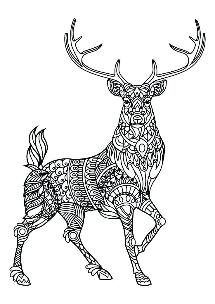 Animal Coloring Pages For Adults
 Animal Mandala Coloring Pages Best Coloring Pages For Kids