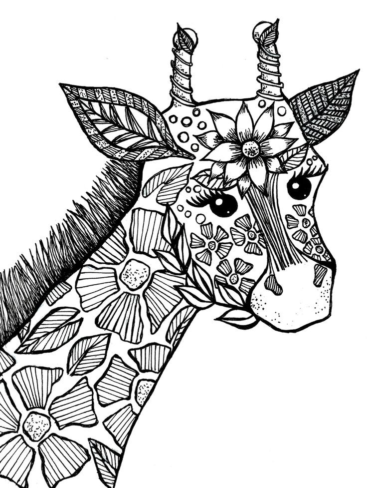 Animal Coloring Pages For Adults
 Giraffe Adult Coloring Book Page