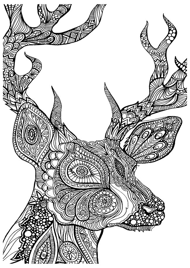 Animal Coloring Pages For Adults
 Printable Coloring Pages for Adults 15 Free Designs