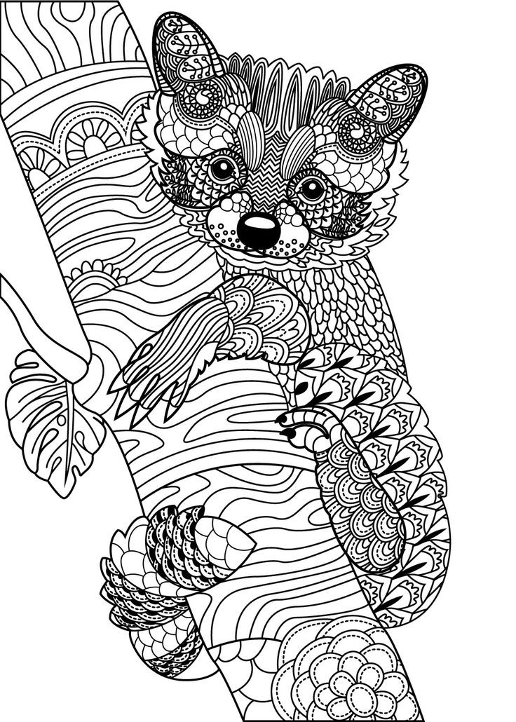 Animal Coloring Pages For Adults
 809 best Animal Coloring Pages for Adults images on