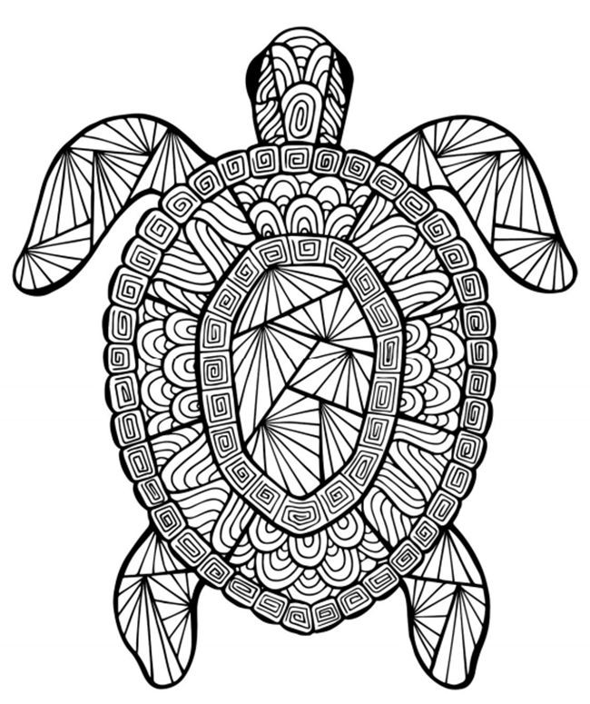 Animal Coloring Pages For Adults
 Animal Coloring Pages for Adults Best Coloring Pages For