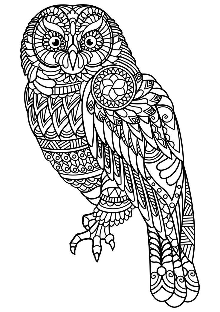 Animal Coloring Pages For Adults
 Animal coloring pages pdf Animal Coloring Pages is a free