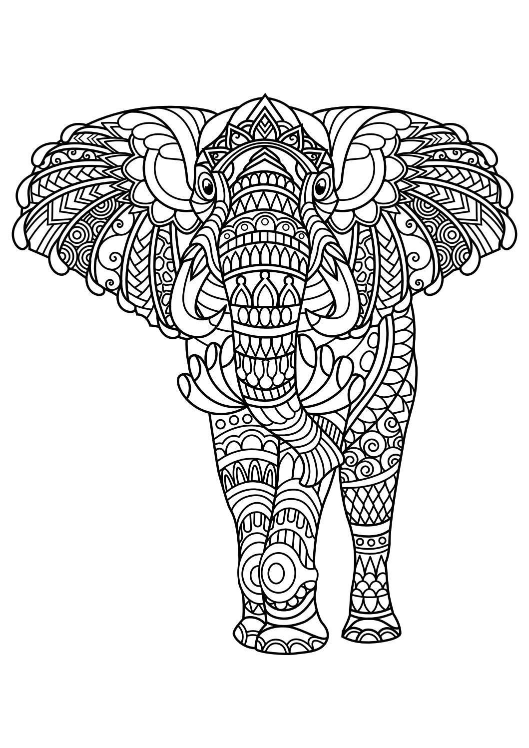 Animal Coloring Pages For Adults
 Animal coloring pages pdf