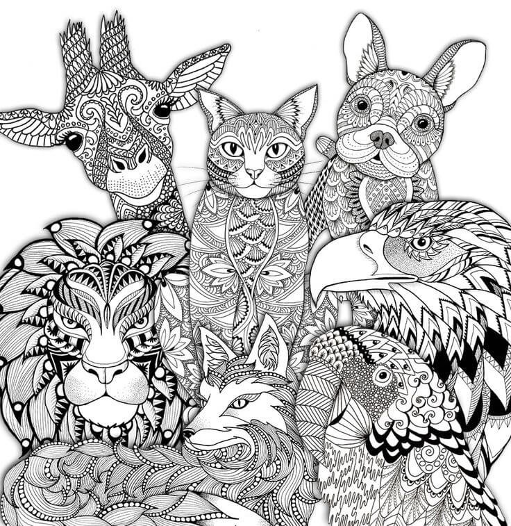 Animal Coloring Pages For Adults
 Adult coloring pages animals