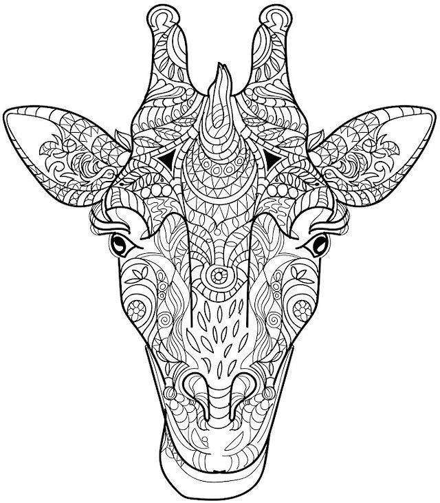 Animal Coloring Pages For Adults
 giraffe coloring page colorpagesforadults